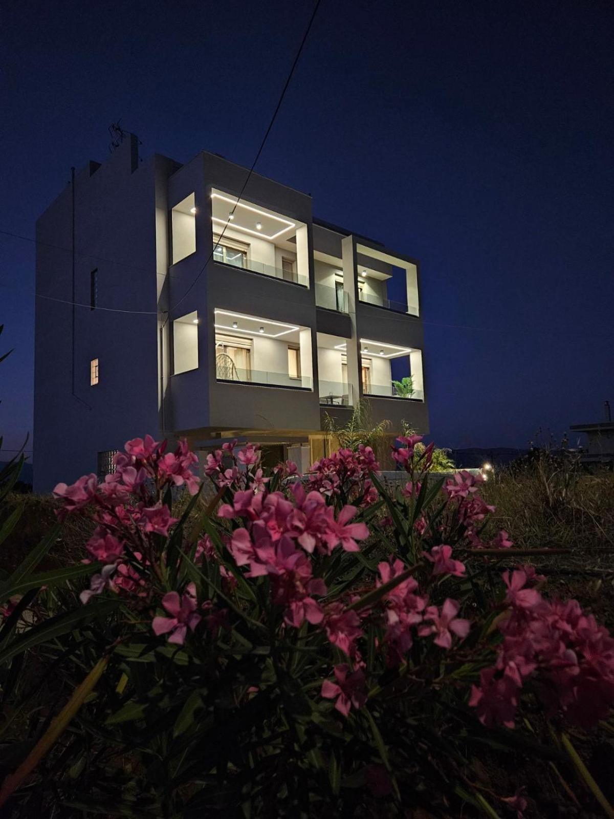 Calm & Dreamy Luxury Apts Pirgos  Exterior photo